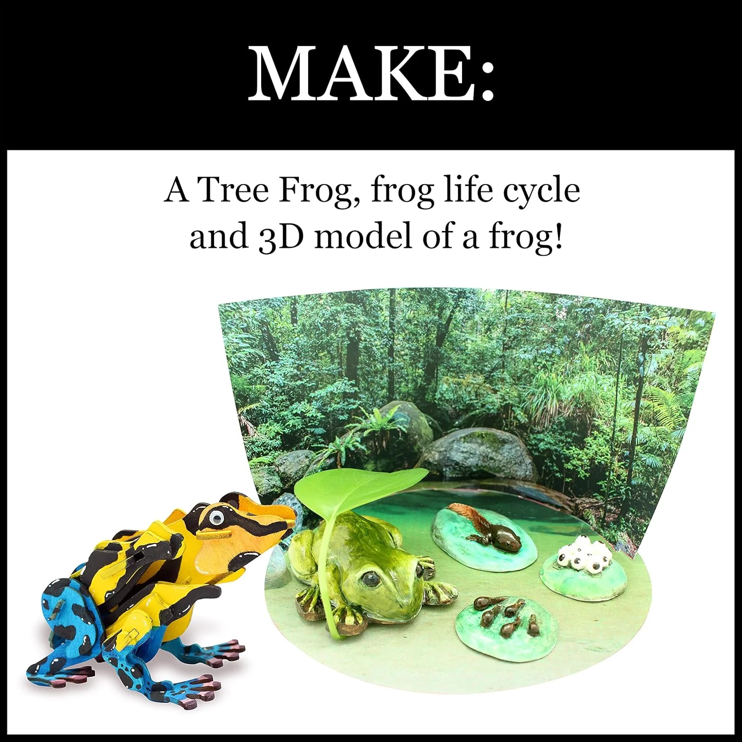 Amazing and Bizarre Frogs of the World - Image 3