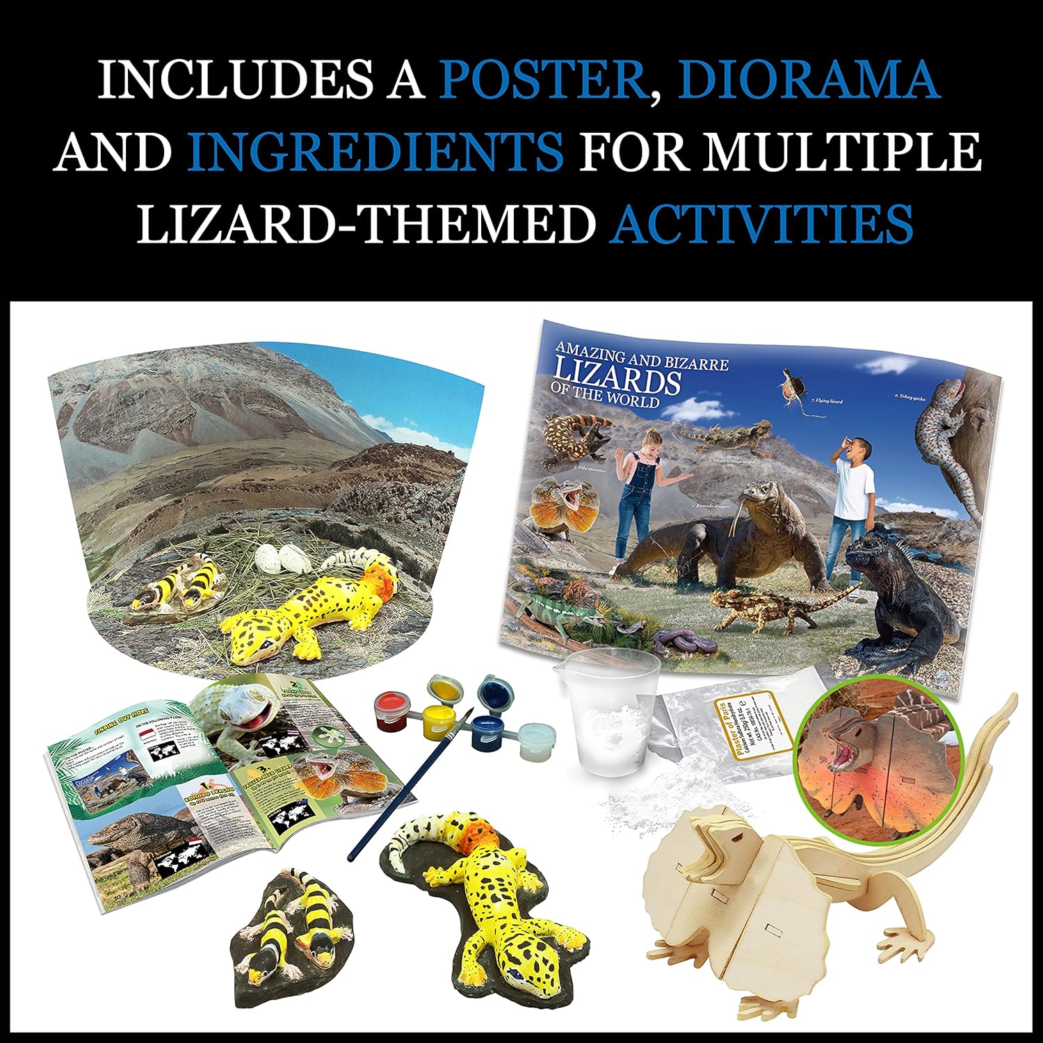 Amazing and Bizarre Lizards of the World - Image 2
