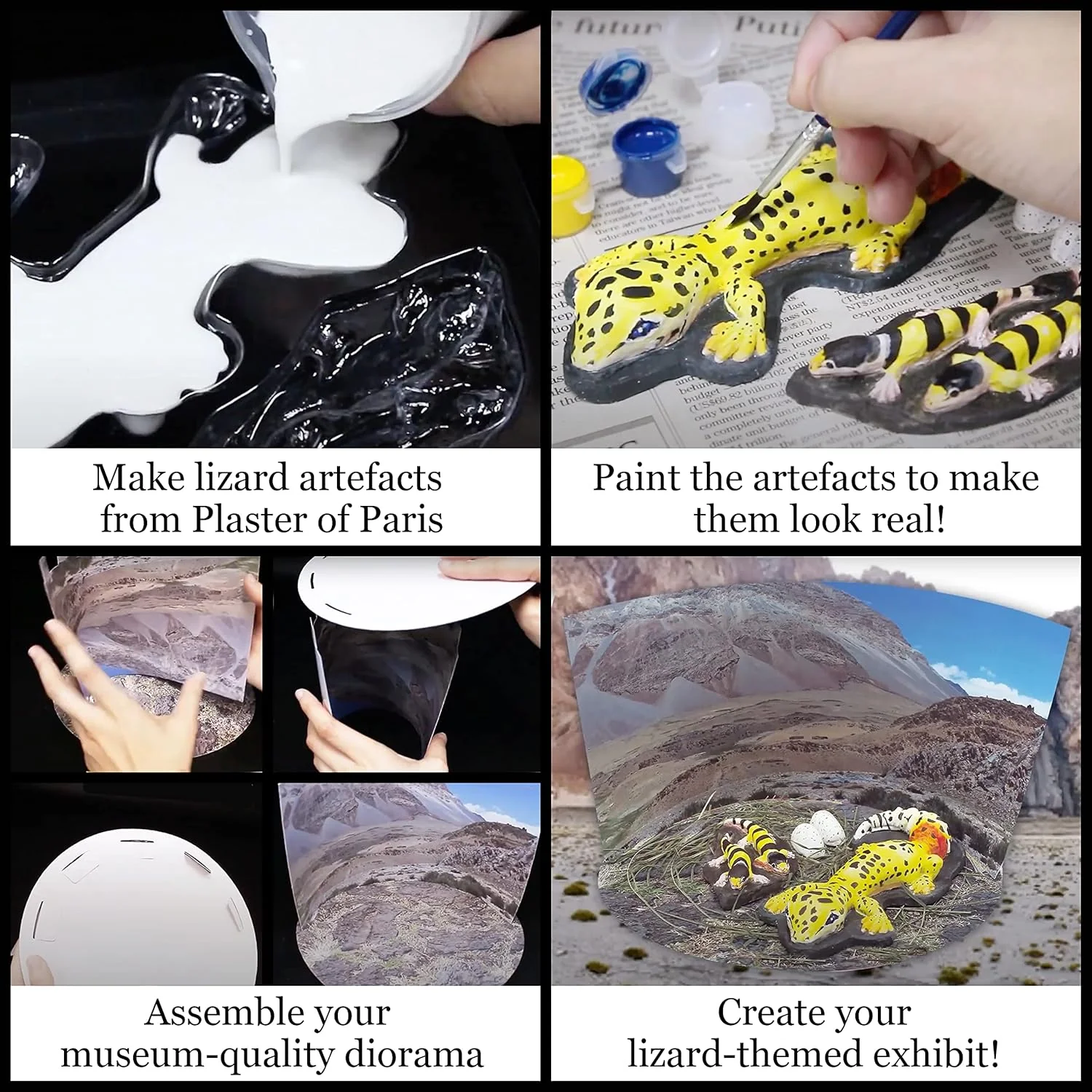 Amazing and Bizarre Lizards of the World - Image 3