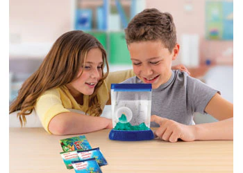 Aqua Dragons - Colour Changing Box Kit - Image 5