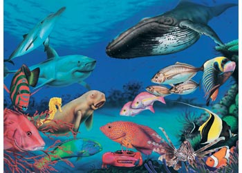 Blue Opal - Wild Aust Beneath the Oceans 200 Pieces - Image 3