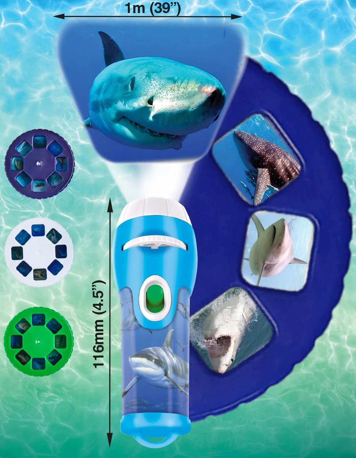 Brainstorm Toys - Shark Torch & Projector - Image 3