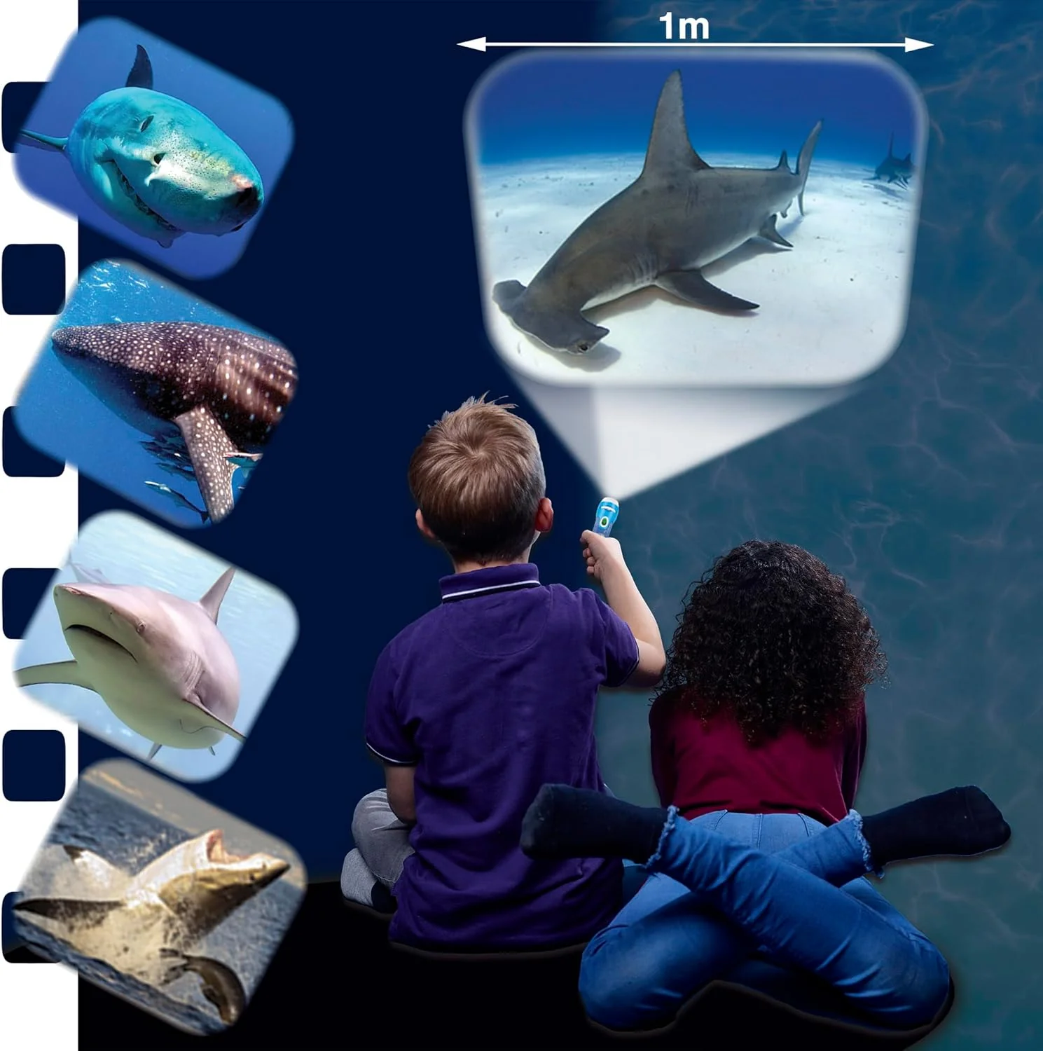 Brainstorm Toys - Shark Torch & Projector - Image 4