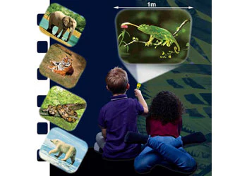 Brainstorm Toys - Animal Torch & Projector - Image 6
