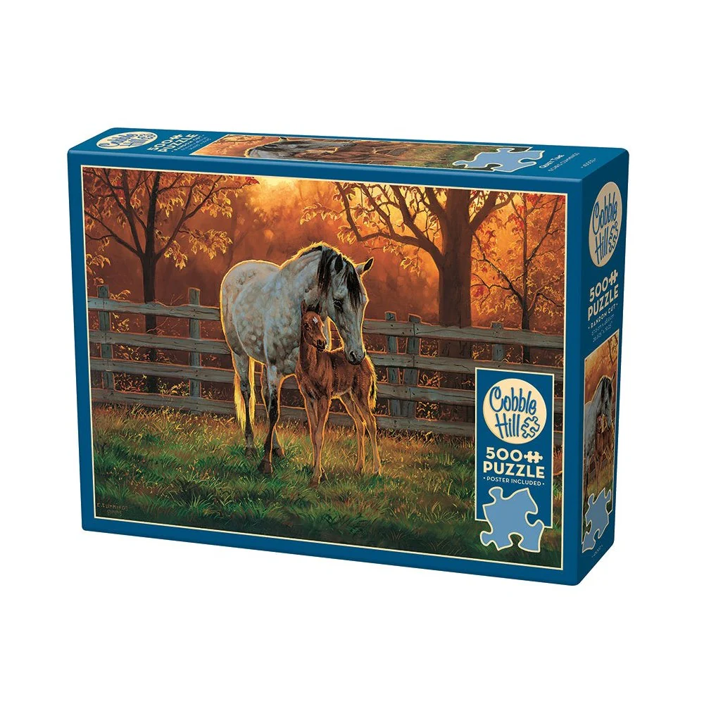 Cobble Hill - Quiet Time 500 Piece Puzzle