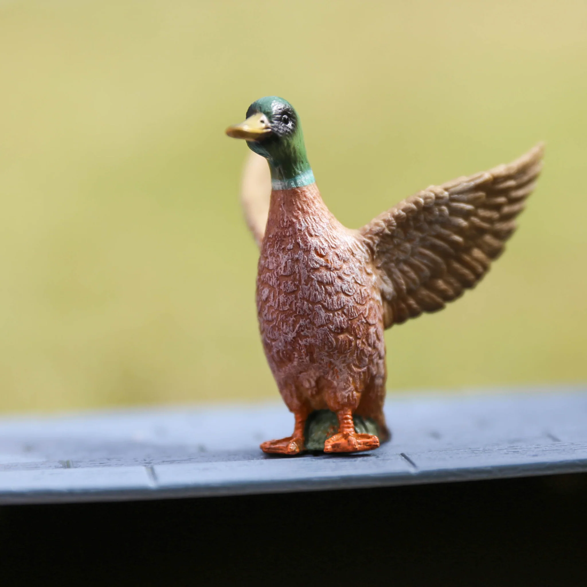 Collecta Mallard Duck Male - S - Image 2
