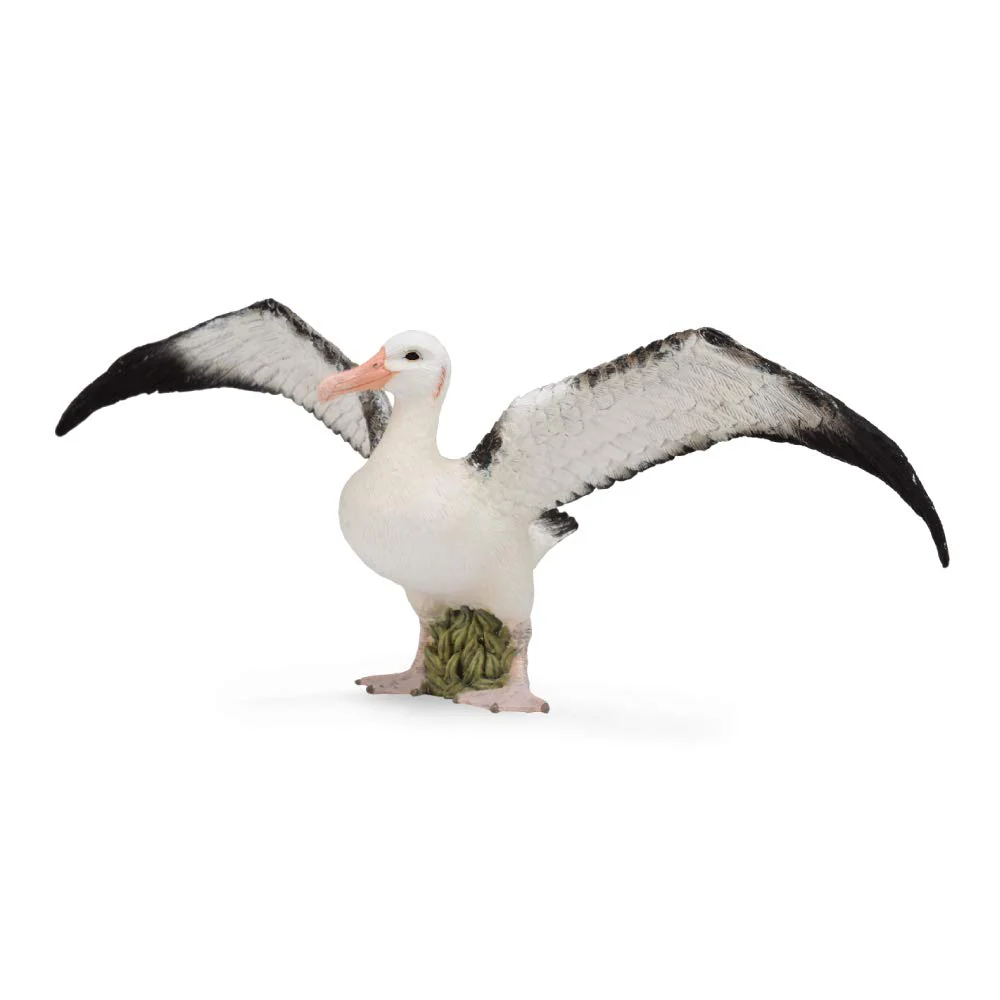 Collecta Wandering Albatross - L