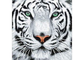 Crystal Art - White Tiger 30x30cm Kit - Image 2