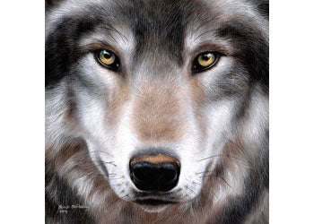 Crystal Art - Wolf 30x30cm Kit - Image 2