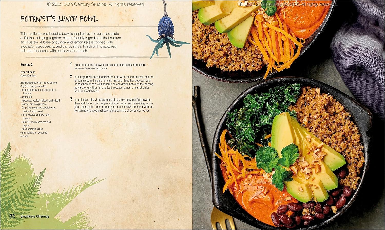 Dorling Kindersley Avatar The Official Cookbook of Pandora - Image 4