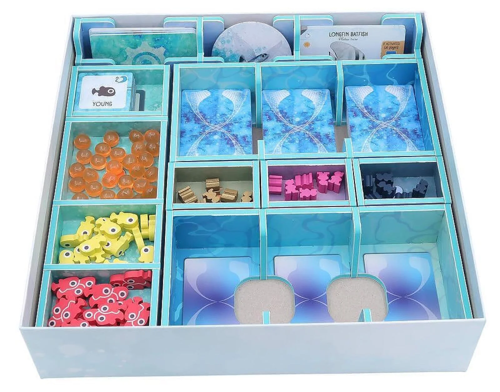 Folded Space - Colour Board Game Insert for Finspan