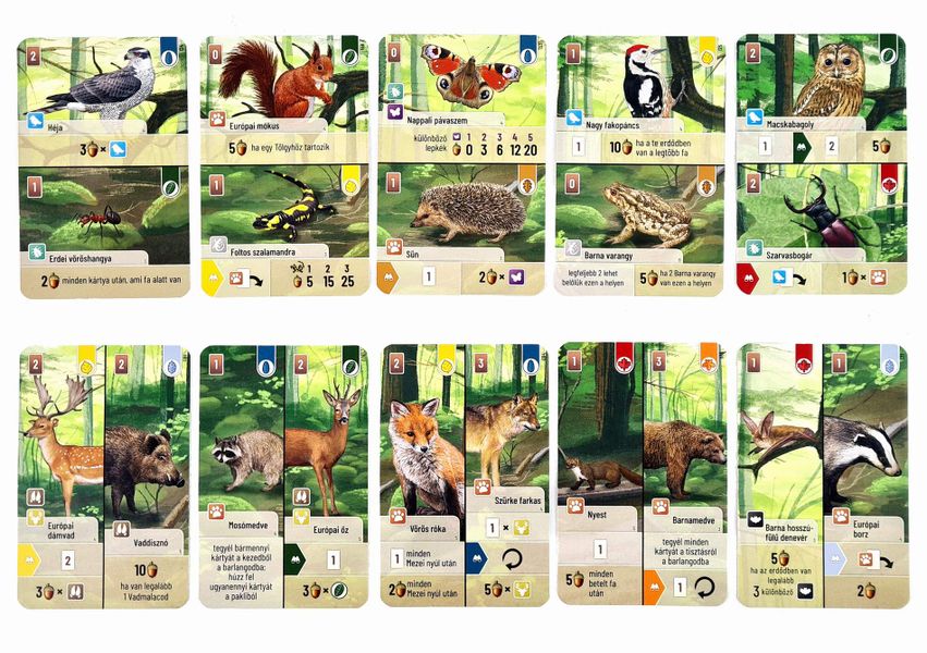 Forest Shuffle Woodland Edge Expansion - Image 2
