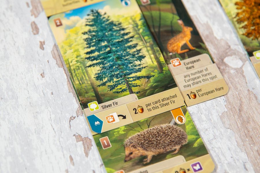 Forest Shuffle Woodland Edge Expansion - Image 3
