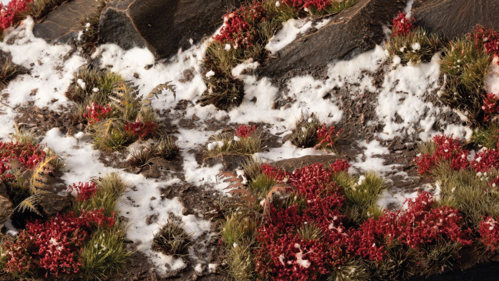 Gamers Grass - Grass Tufts - Flowers - Laliguras - 263747 - Image 2