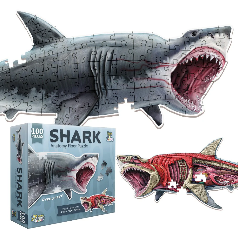Genius Games Shark Anatomy Floor Puzzle - 100 piece Puzzle - Image 2