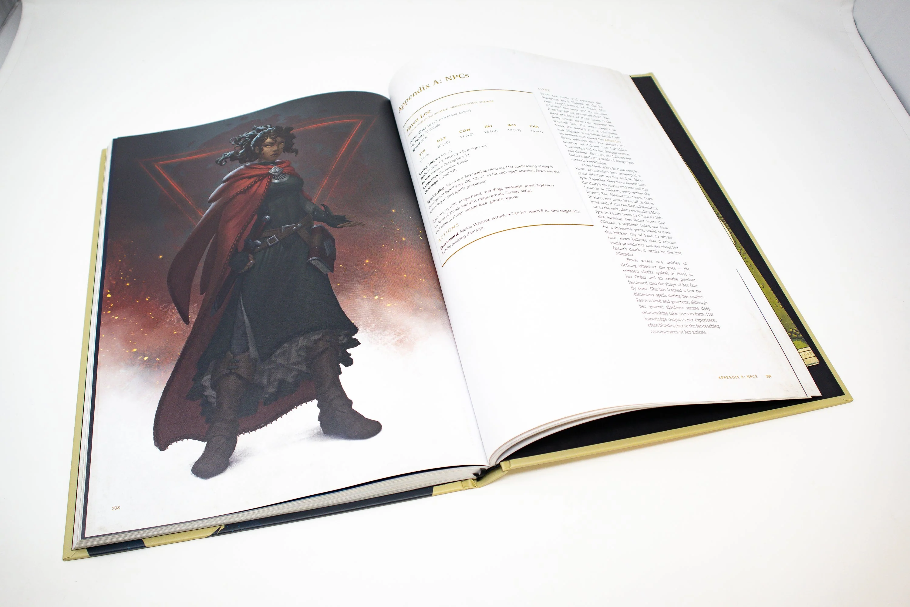 Hit Point Press Lore of Aetherra: The Lost Druid Campaign Setting - 5E Hardcover - Image 5