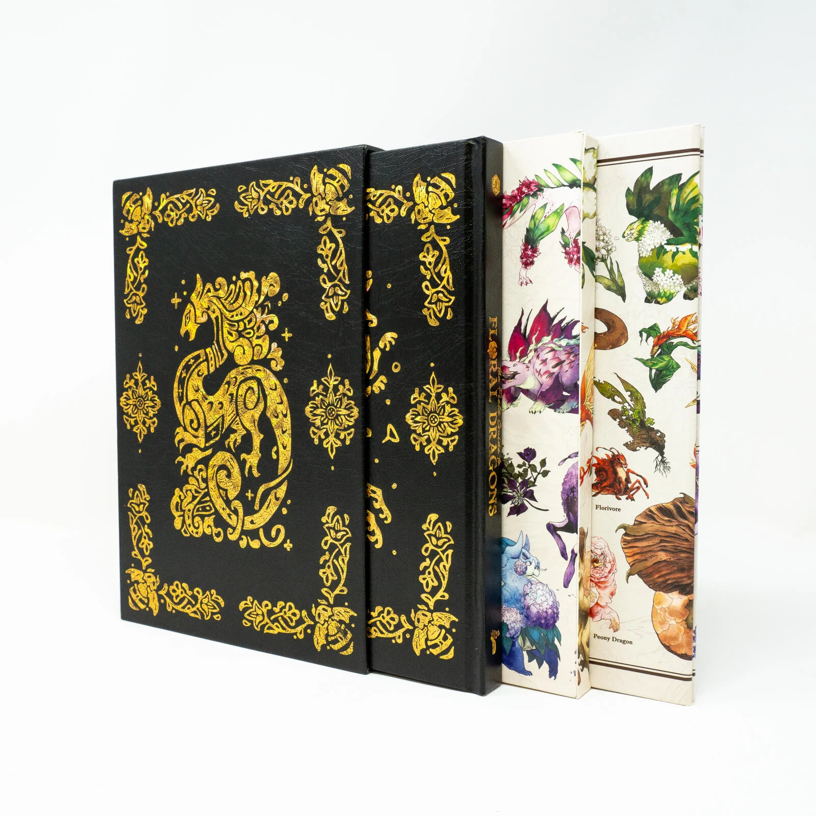 Hit Point Press The Field Guide to Floral Dragons Deluxe Box Set