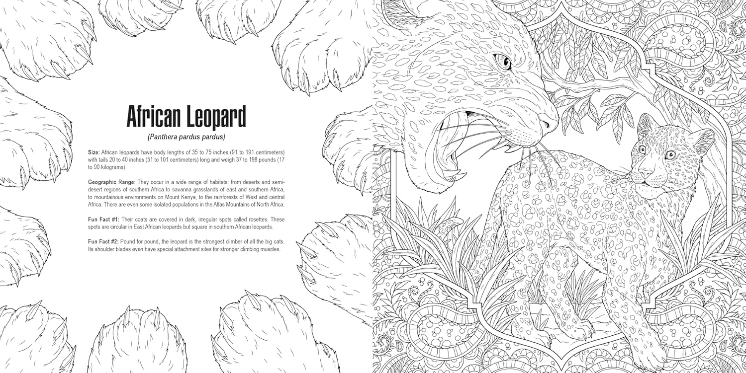 IDW Publishing Cats: A Smithsonian Colouring Book - Image 2