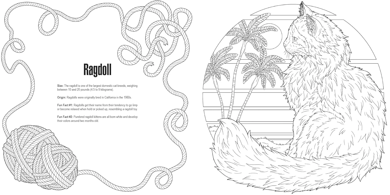 IDW Publishing Cats: A Smithsonian Colouring Book - Image 3