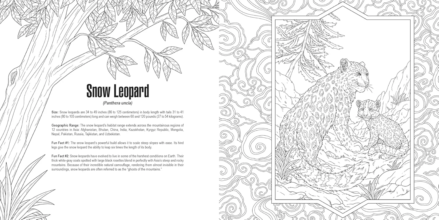 IDW Publishing Cats: A Smithsonian Colouring Book - Image 4