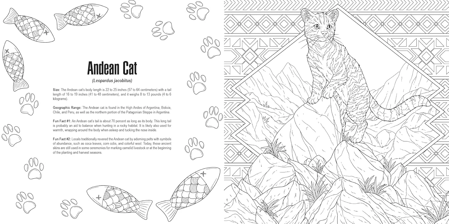 IDW Publishing Cats: A Smithsonian Colouring Book - Image 5