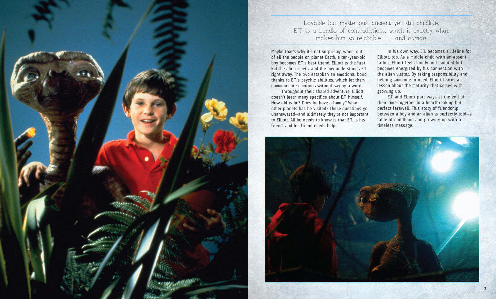 Incredibuilds ET the Extra Terrestrial Book and 3D Wood Model - Image 5