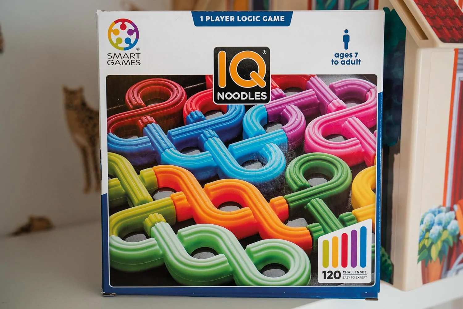Iq Noodles - Image 6