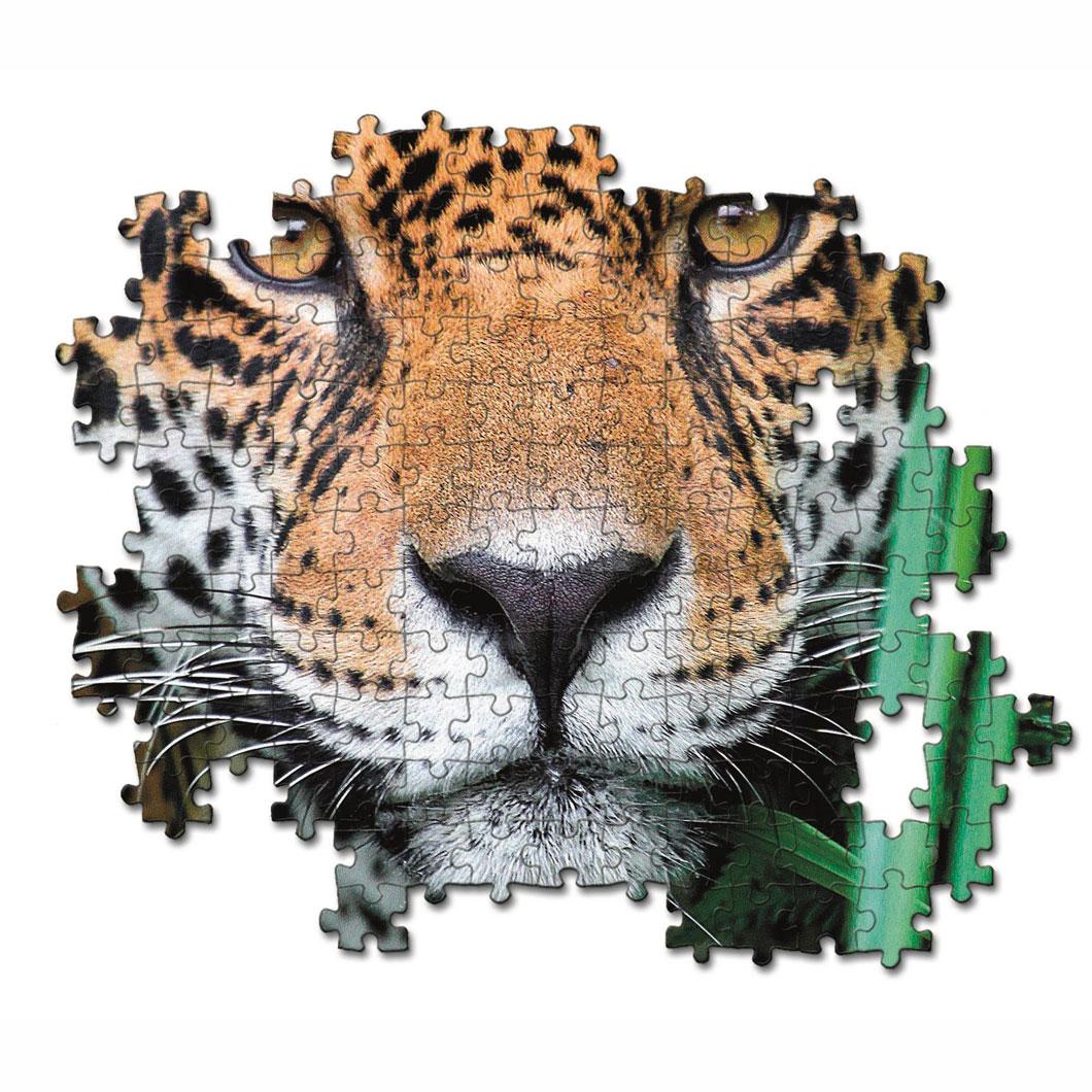 Jaguar In The Jungle (Compact) - Image 2