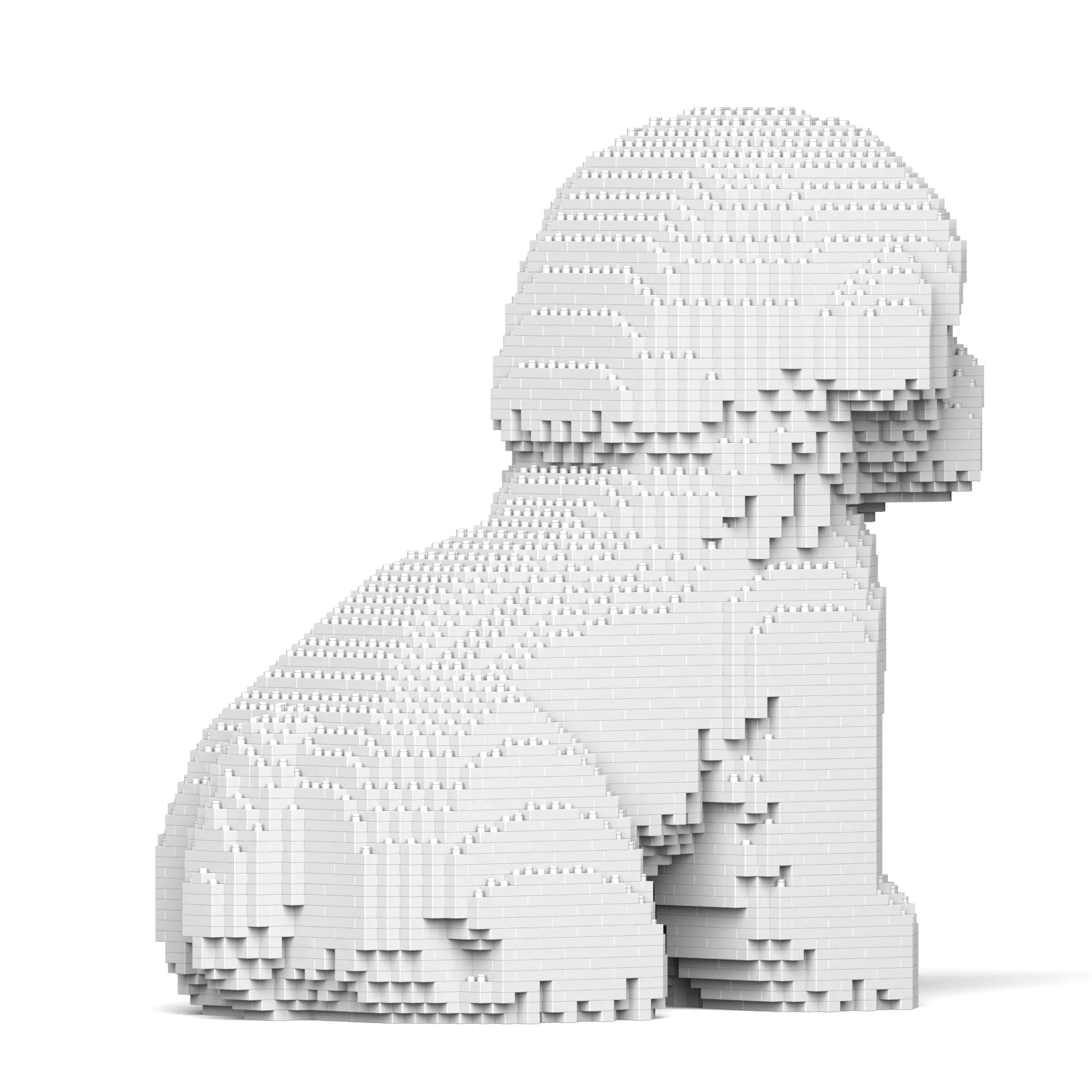 Jekca - Bichon Frise - 03s - Image 3