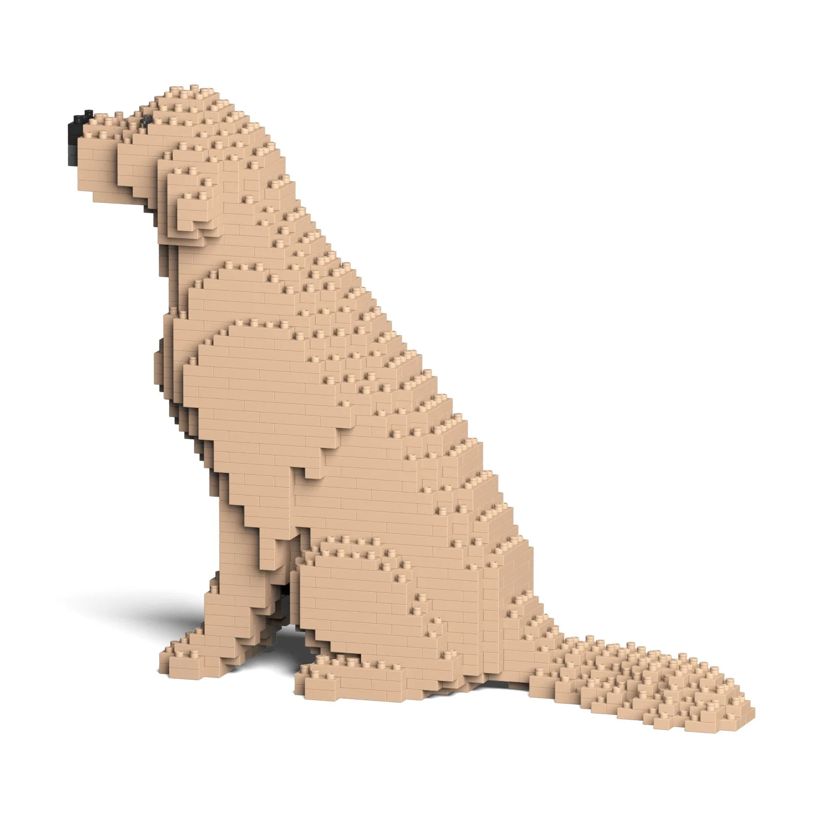 Jekca - Golden Retriever - Small 03s-m03 - Image 3