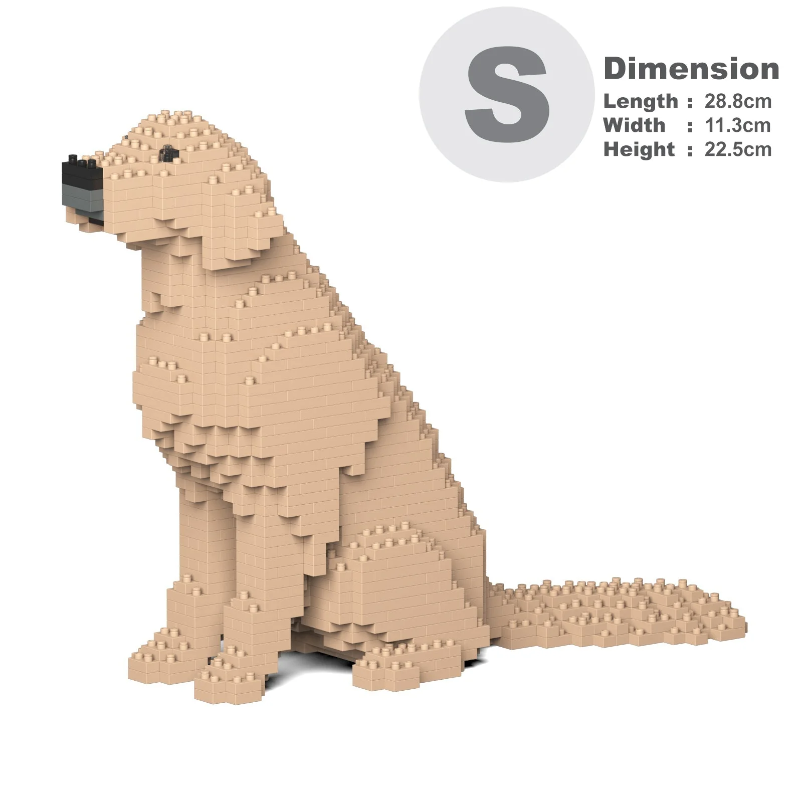 Jekca - Golden Retriever - Small 03s-m03 - Image 4