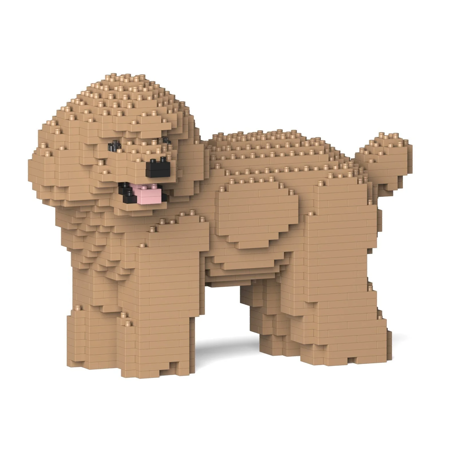 JEKCA - Toy Poodle 05S-M03