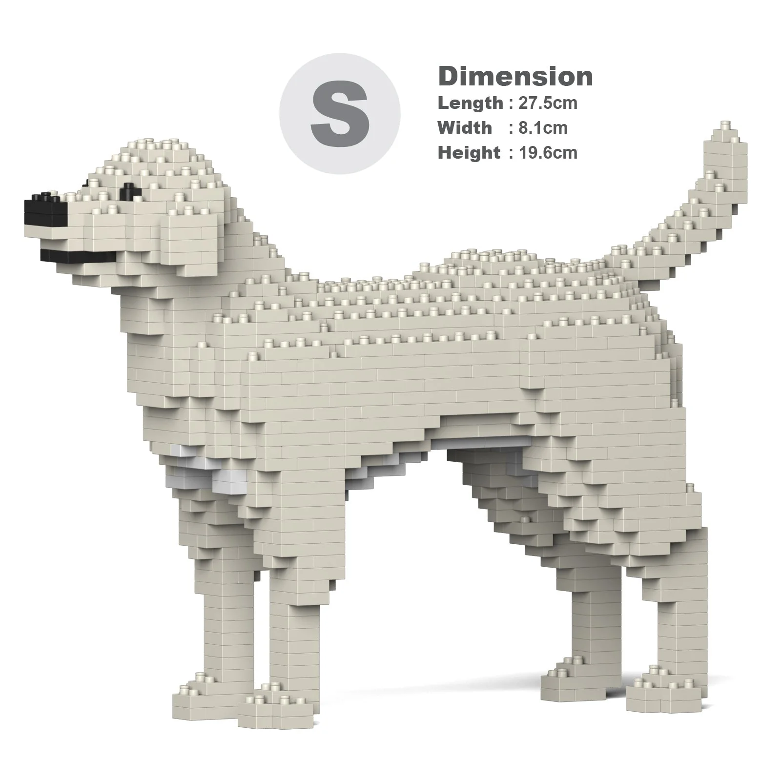 Labrador Retriever 01S-M06