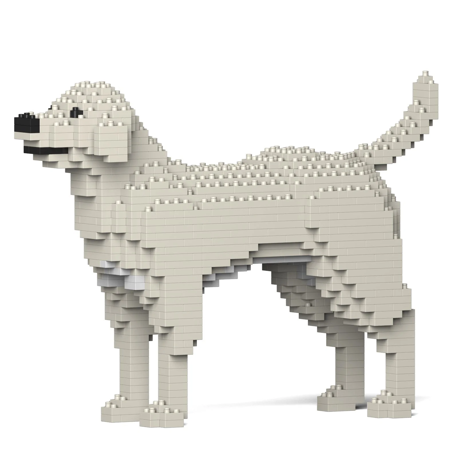 Labrador Retriever 01S-M06 - Image 2