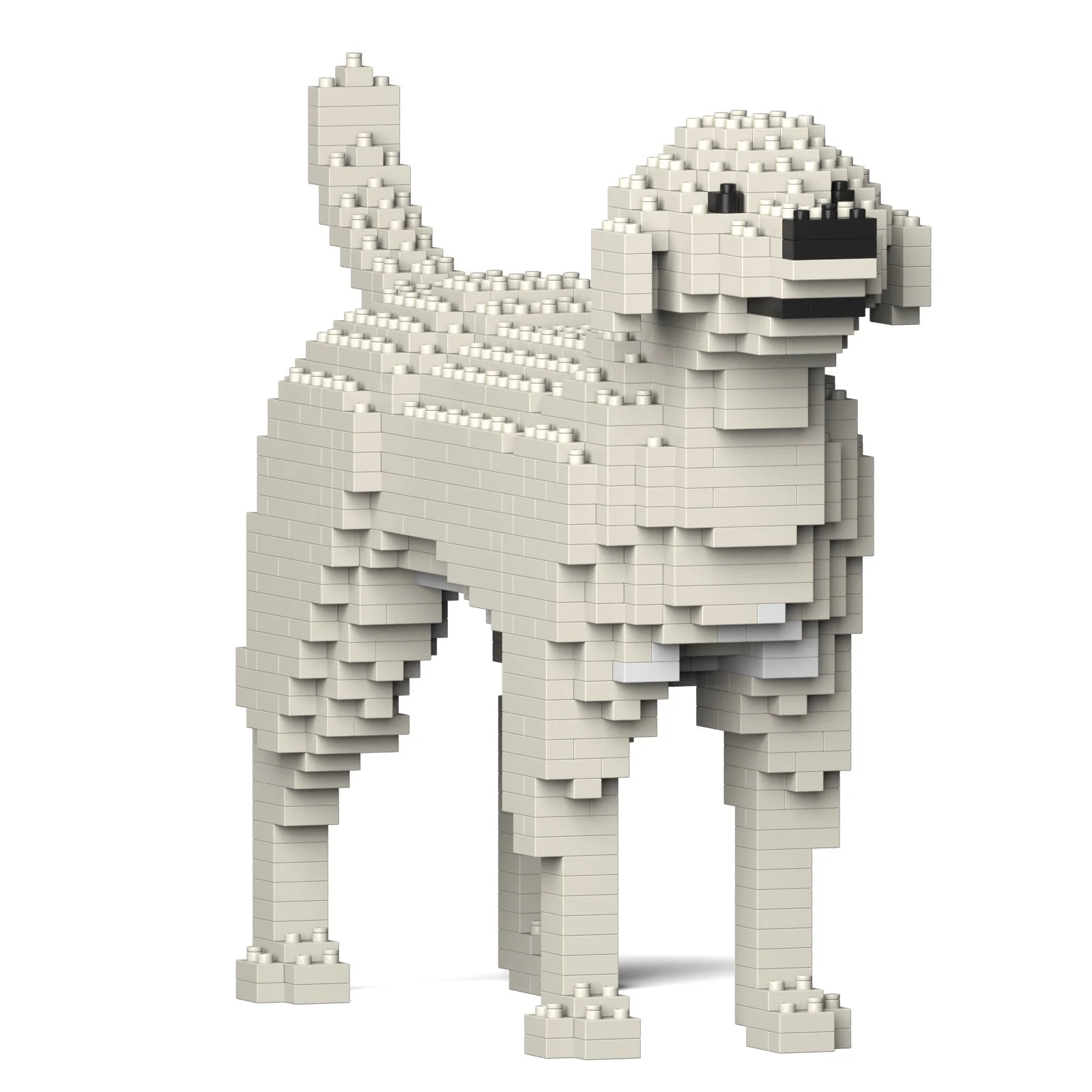 Labrador Retriever 01S-M06 - Image 3