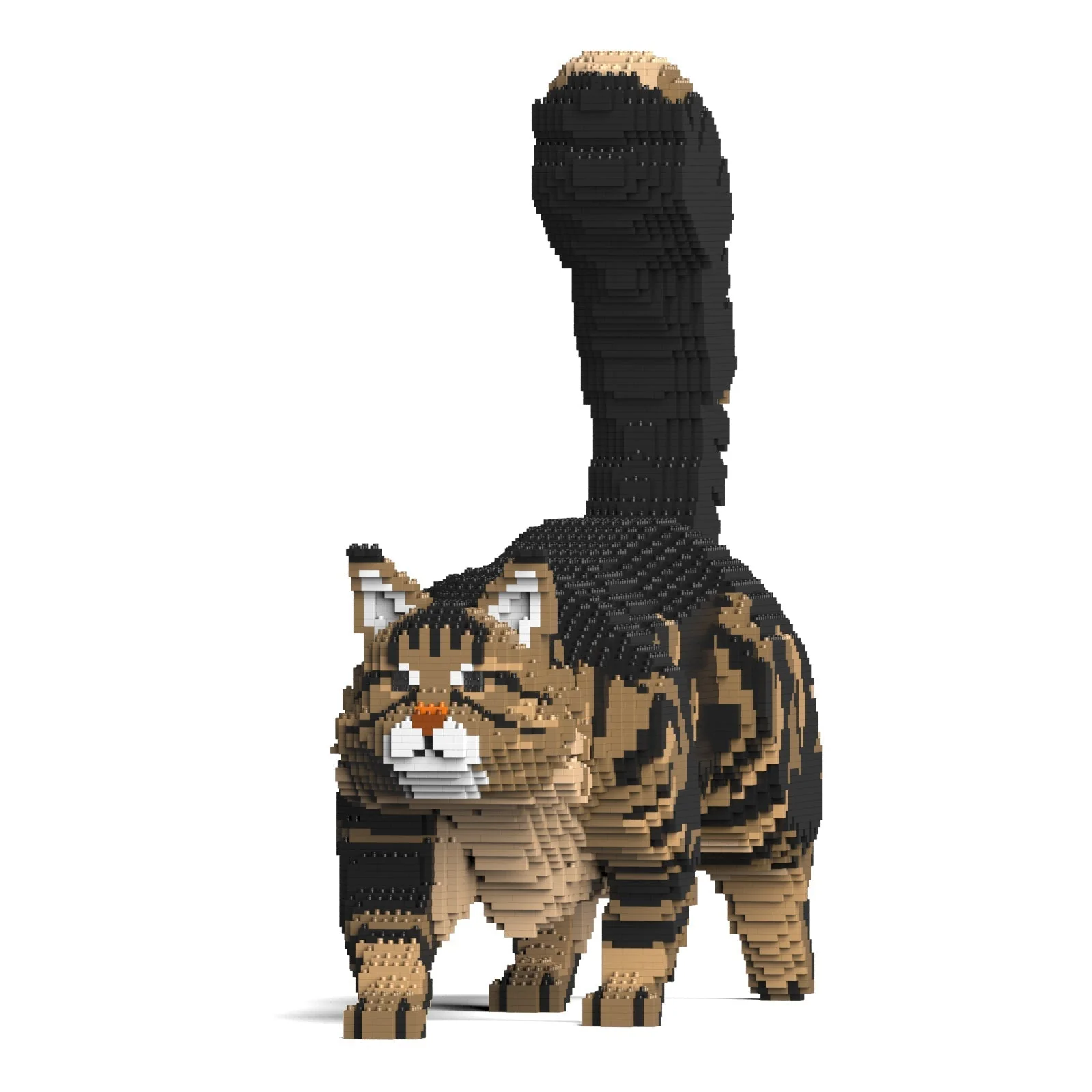 Maine Coon 02S-M03 - Image 2