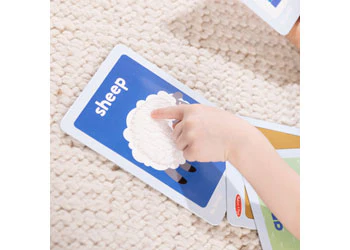 Melissa & Doug - Ms. Rachel 1st Words Flashcards - Image 4
