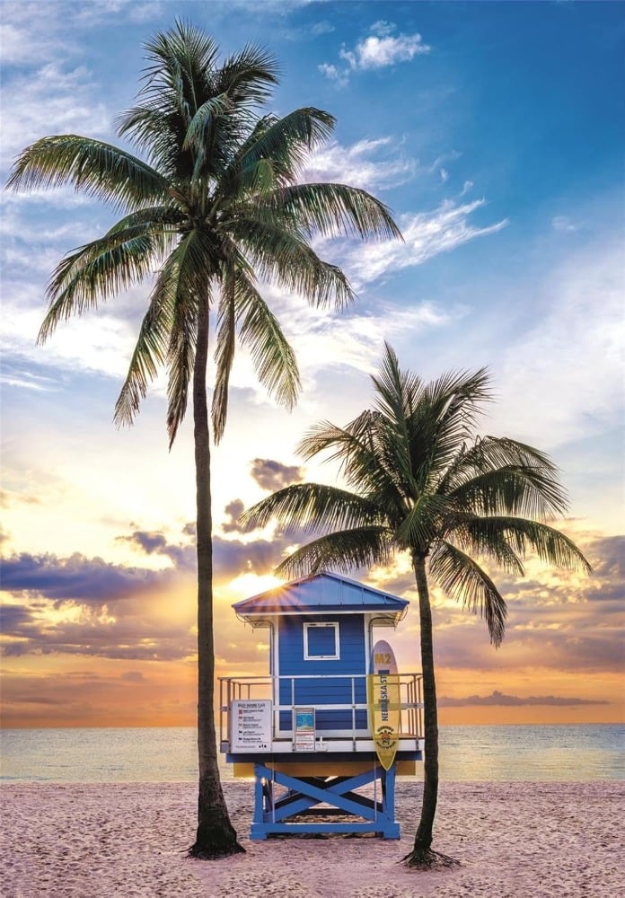 Miami Beach Florida (High Quality) - Image 2