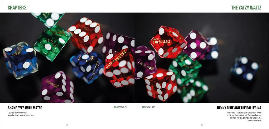 Modiphius DICE - Rendezvous with Randomness Photobook - Image 3