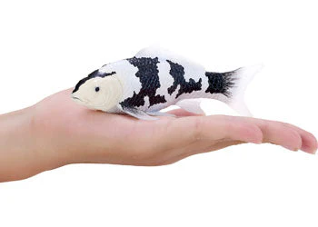 Mojo - Shiro Utsuri Koi Carp - Image 7