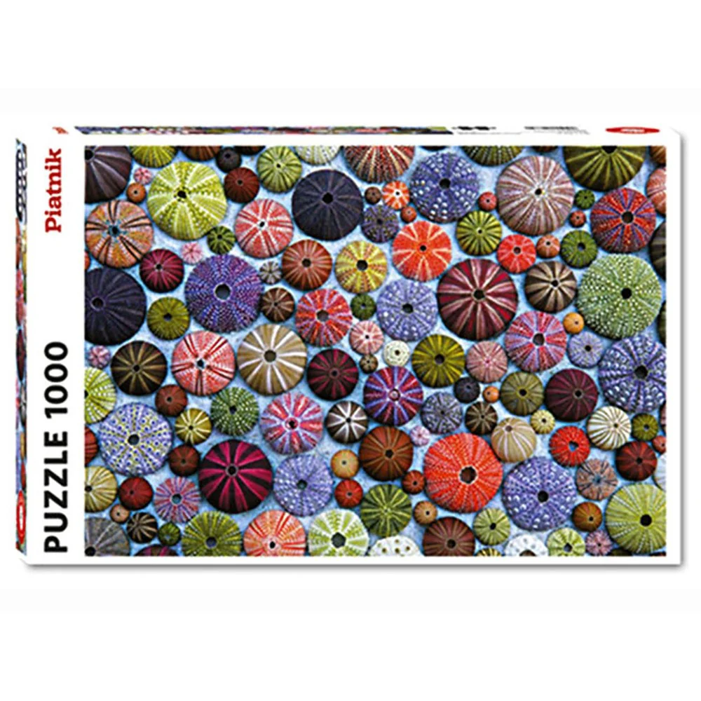Piatnik - Sea-Urchin Shells 1000 Piece Puzzle