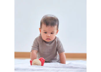 PlanToys - Bird Roller - Image 2