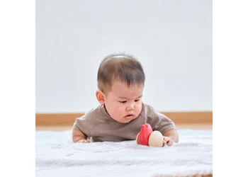 PlanToys - Bird Roller - Image 5