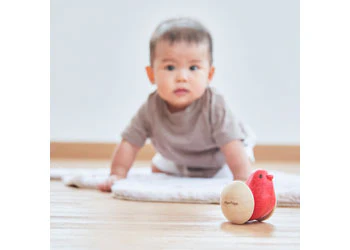 PlanToys - Bird Roller - Image 6