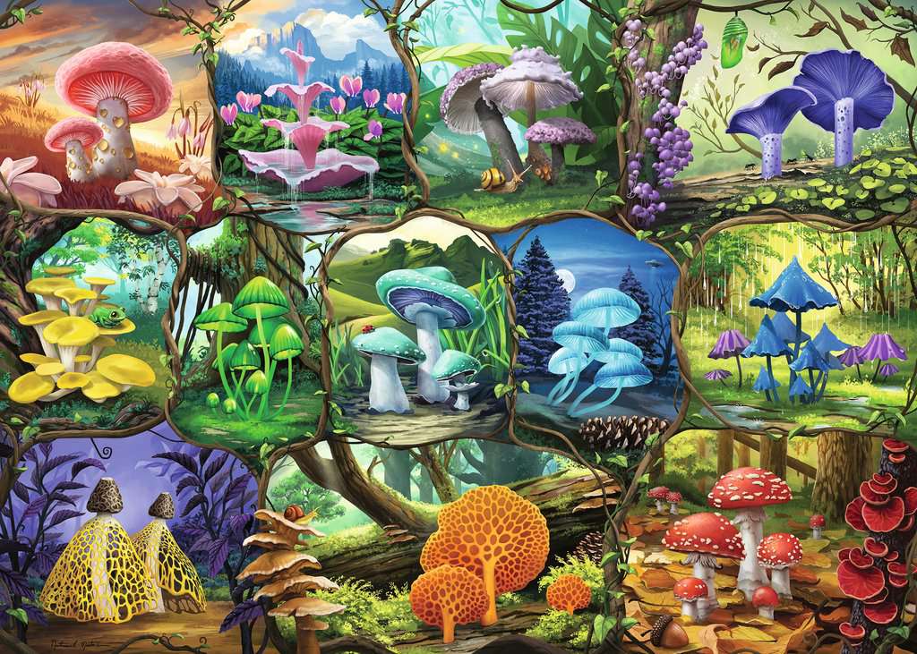 Ravensburger - Beautiful Mushrooms 1000 Piece Jigsaw - New Edition - Image 2