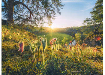 Ravensburger - Four Seasons Puzzle 4x500 Pieces - Image 6