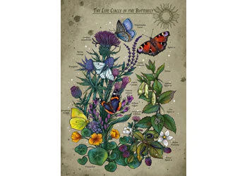 Ravensburger - Lifecircle Butterfly Puzzle 1000 Pieces - Image 2