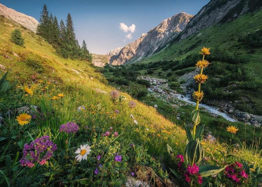 Ravensburger - Magical Valley - 1000 Piece Jigsaw - Image 2