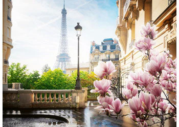 Ravensburger - Springtime in Paris Puzzle 500 Pieces - Image 2