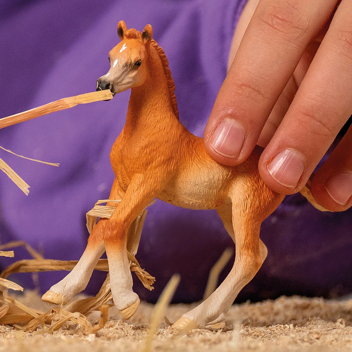 Schleich - Arab Foal - Image 2